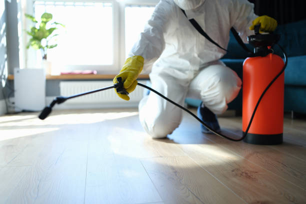Reliable Hoarding Cleanup contractor in Wilmington, NC by Trauma Clean Pros